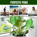 Kit 3 Regador Automático Para Plantas Gotejador Irrigação Jardim