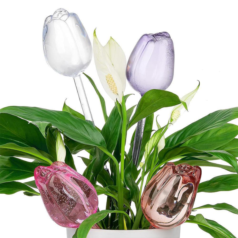 Kit 3 Regador Automático Para Plantas Gotejador Irrigação Jardim
