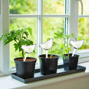 Kit 3 Regador Automático Para Plantas Gotejador Irrigação Jardim